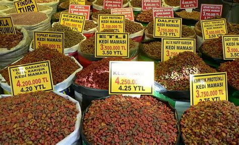 Какой корм российского производства выбрать для домашней кошки ...