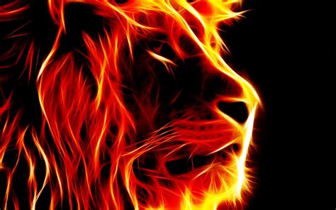 Abstract Lion Wallpapers - Top Free Abstract Lion Backgrounds ...