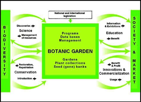 A Vector Model Of A Botanic Garden Or Arboretum Role As An Active