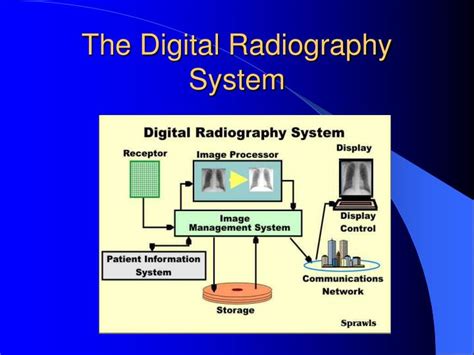 PPT - Digital Radiography PowerPoint Presentation - ID:478350