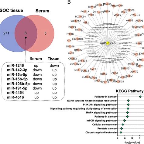 Comparison Of Mirna Expression Between Matched Serum And Tissue Hgsoc