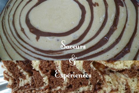 Saveurs Et Exp Riences G Teau Z Br Choco Vanille