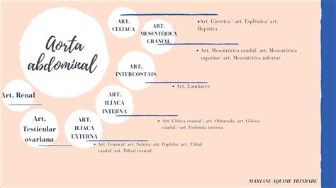 Mapas Mentais Sobre Abdominal Study Maps