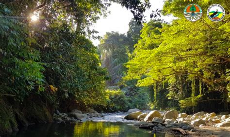 Sudah Rindu Wisata Alam Klhk Sudah Buka Taman Nasional Lagi Ini