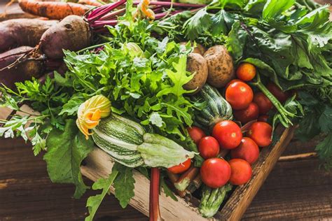Entdecken Sie die Vorteile von Bio-Produkten | Blidz
