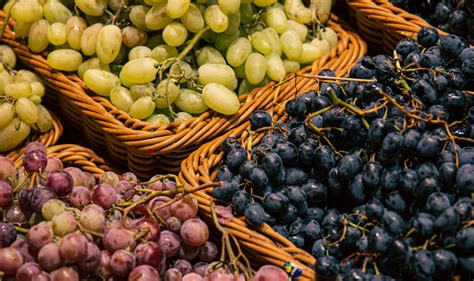 Sagra Dell Uva A Priora 2023 Con Vendemmia Per Bambini