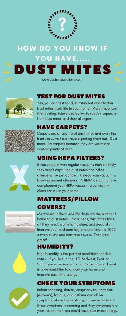 How Do You Know If You Have Dust Mites (My Protection Strategies)