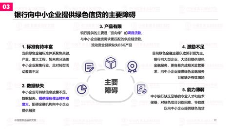 第一财经研究院 《金融支持小微企业参与可持续发展》报告发布内容集锦 2024ifcii