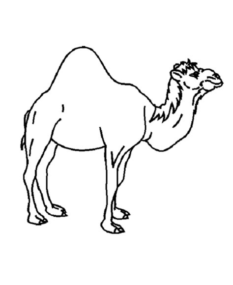 Desert Animals Coloring Pages - Coloring Home