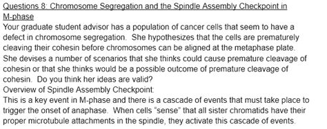 Questions 8: Chromosome Segregation and the Spindle | Chegg.com 