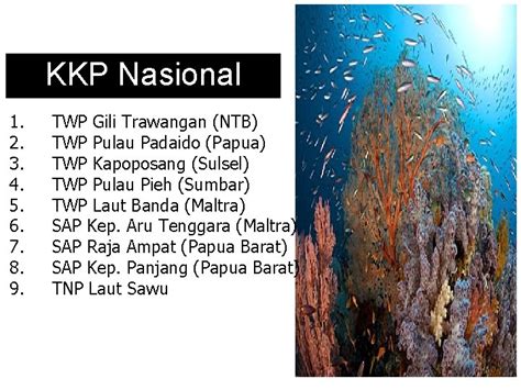 Peraturan Pengelolaan Konservasi Kawasan Pesisir Dan Laut Dan