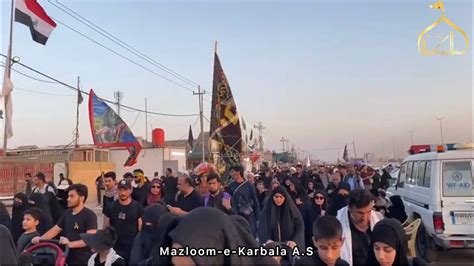 Karbala Arbaeen Walk Najaf To Karbala A Journey Of Love 2023 1445