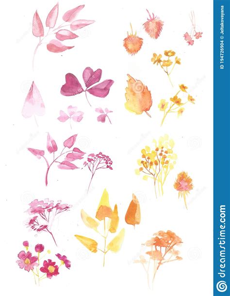 Pink Yellow Flowers Leaves On White Set Watercolors Illustration