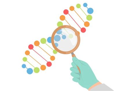 5 Key Functions of DNA Polymerase in DNA Replication