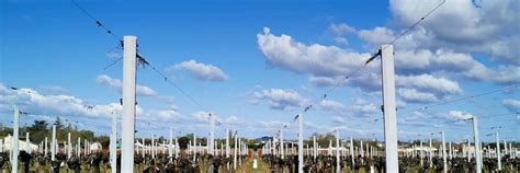 Château Cantenac - Winery in Bordeaux | Winetourism.com