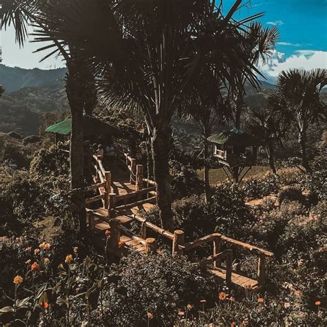 There Is A Small Wooden Structure In The Middle Of Trees And Bushes