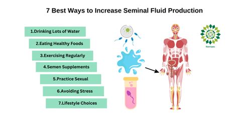 7 Best Ways To Increase Seminal Fluid Production Naturally