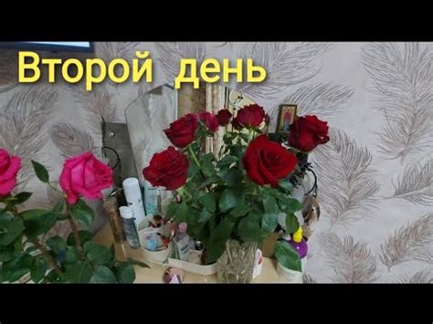 📽Небольшие презенты на Новый год💥У нас вьюга - YouTube