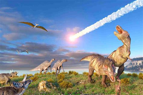 The 5 Major Mass Extinctions