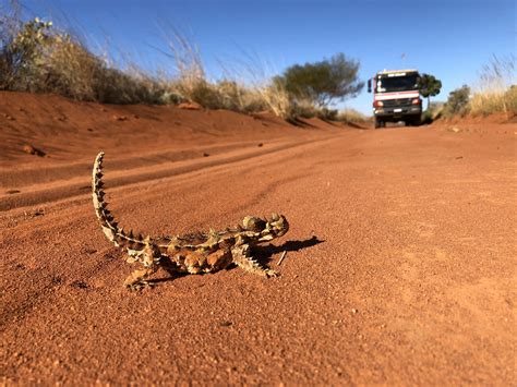 Great Sandy Desert Rperth