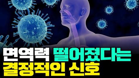 내 몸이 보내는 면역력 저하 신호 면역력 떨어지면 나타나는 증상 Youtube