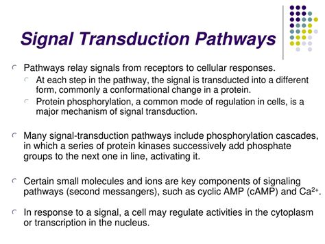 Ppt Cell Communication Signal Transduction Powerpoint Presentation