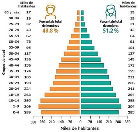 Distribución De La Población Por Género Y Grupo De Edad En El Estado De