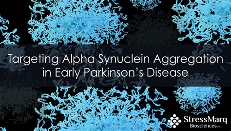 Targeting Alpha Synuclein Aggregation In Parkinsons Disease