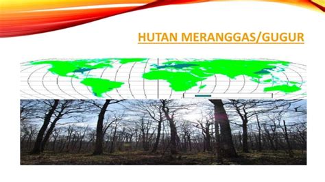 Ppt Biosfer Persebaran Flora Dan Fauna Ppt