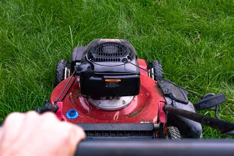 Picture of Person Pushing Lawn Mower — Free Stock Photo