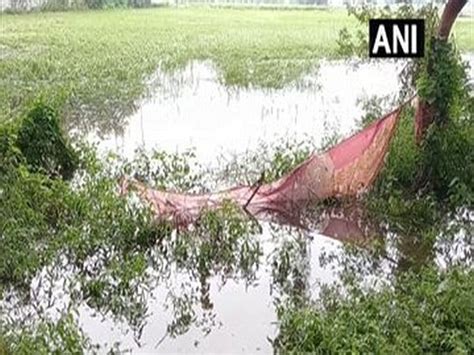 Unseasonal Rainfall Hits Maharashtras Nashik Crops Damaged Theprint