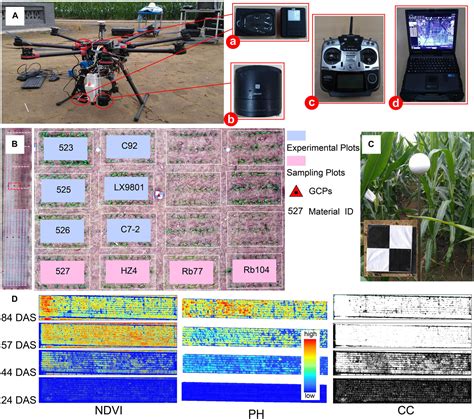 Frontiers Clustering Field Based Maize Phenotyping Of Plant Height