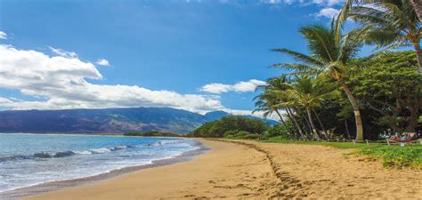 Where Do Cruise Ships Dock In Papeete Tahiti