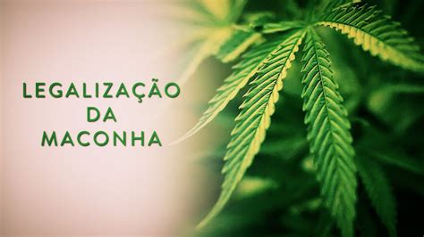 Legalização Da Maconha Contra Ou A Favor Politicamente Imparcial