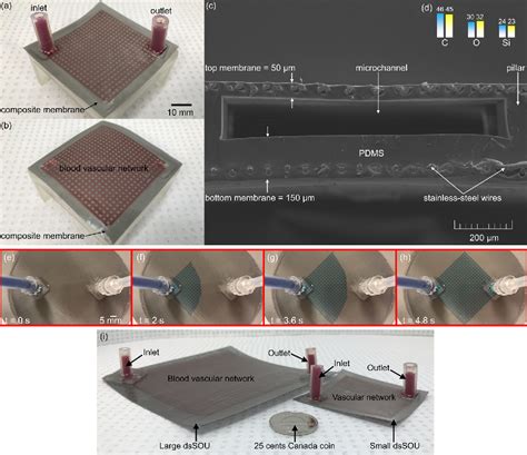 Figure From An Artificial Placenta Type Microfluidic Blood Oxygenator