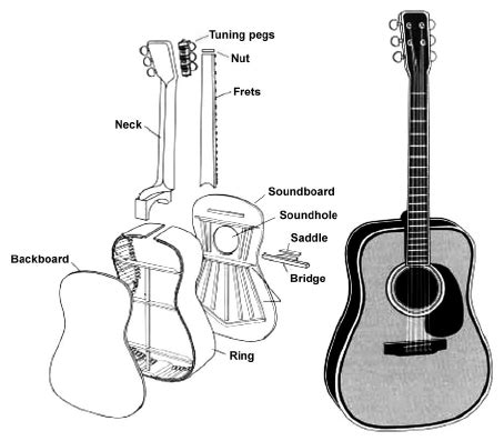 Parts of the acoustic guitar. | Download Scientific Diagram