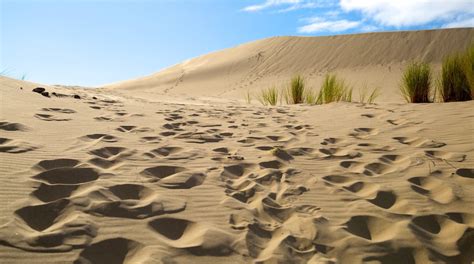 Oregon Dunes National Recreation Area in Oregon - Tours and Activities ...