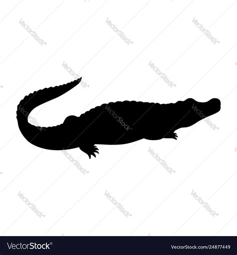 Crocodile Royalty Free Vector Image - VectorStock