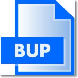 The Main Things You Have to Know about Bup Files - EaseUS