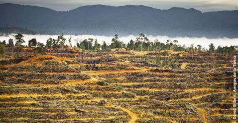 ¿cuál Es El Impacto Ambiental De Las Actividades Agropecuarias Mitiga