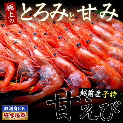 【200円offクーポン配布中】えび エビ 海老 無添加で高鮮度！お刺身用 日本海産子持ち甘えび1kg 500g×2 約70尾 80尾入 送料