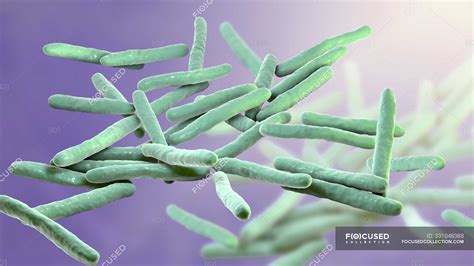 Digitale Illustration Von Mycobacterium Leprae Gram Positiven