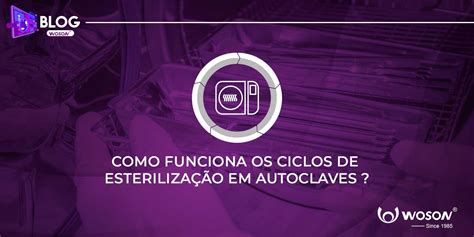 Como Funciona Autoclave Descubra O Ambiente Fascinante E Desafiador