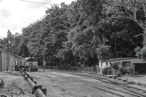 Kuranda Scenic Railway Train Going Back To Cairns In Tropical North