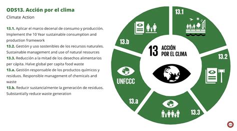 Alia Mundi Ods13 Acción Por El Clima Climate Action