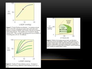 Función Ventricular Izquierda PPT