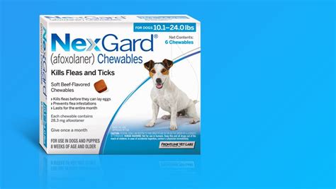 NexGard For Dogs Review: Are There NexGard Side Effects?