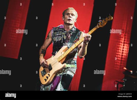 ZURICH HALLENSTADION OCTOBER 5TH 2016 Flea Bassist Of The American Funk Rock Band Red Hot