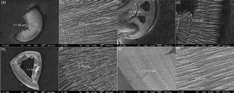 Chip Morphologies A Overview Of Chip Morphology Of Sample C B