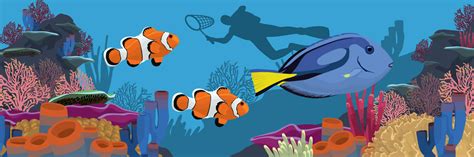 The Eco Impact of Finding Nemo and Finding Dory | Fix.com